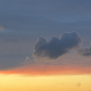 Team Page: Team Emery H